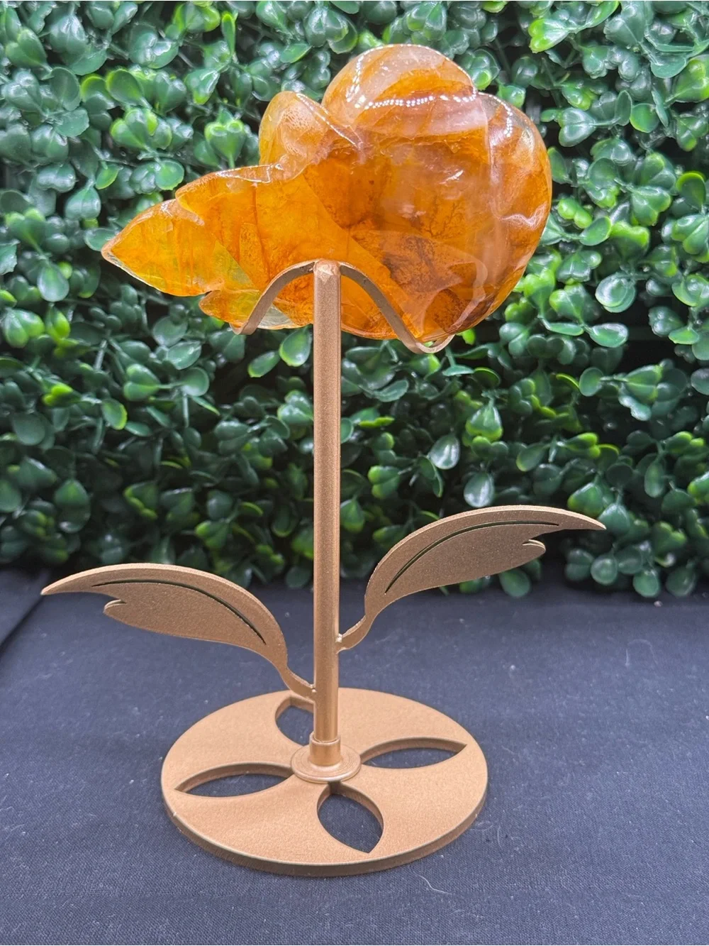 Beautiful Golden Healer Flower on Stand